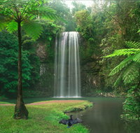 Atherton Tablelands - Port Augusta Accommodation