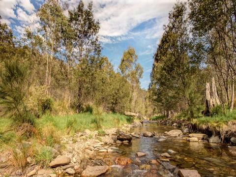 Brindabella National Park - Port Augusta Accommodation 2