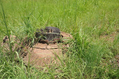 Brocks Creek Chinatown And Temple Site - Port Augusta Accommodation 0