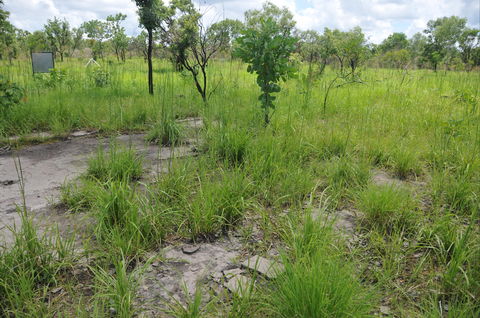 Brocks Creek Chinatown And Temple Site - Port Augusta Accommodation 2