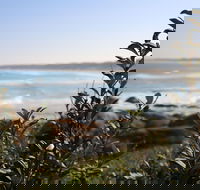 Cape Conran Coastal Park - Port Augusta Accommodation
