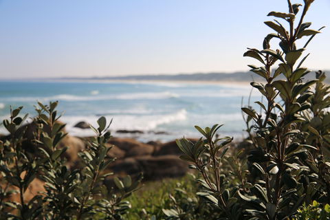 Cape Conran Coastal Park - Port Augusta Accommodation 0