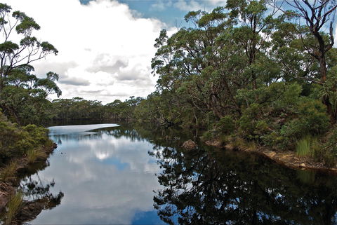Cape Conran Coastal Park - Port Augusta Accommodation 2