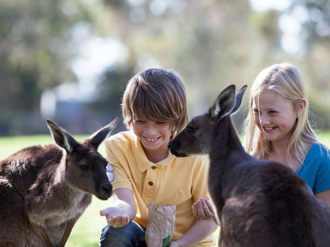 Cleland Wildlife Park - Port Augusta Accommodation 1