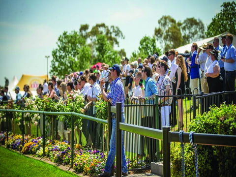 Dubbo Turf Club - Open With Races But No Spectators - Port Augusta Accommodation 1