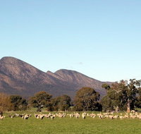 Grampians - Port Augusta Accommodation