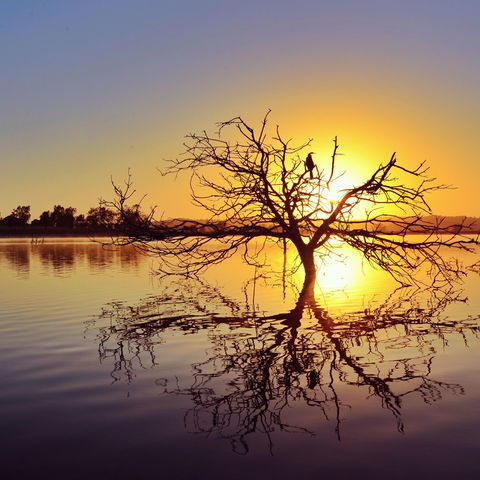 Lake Dyer - Port Augusta Accommodation 0