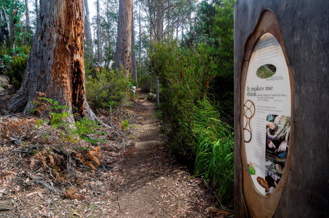 Lake St Clair (Cradle Mountain  - Lake St Clair National Park) - Port Augusta Accommodation 2