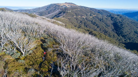 Mt Buller Bike Park - Port Augusta Accommodation 0