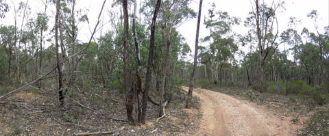 Paddys Ranges State Park - Port Augusta Accommodation 0