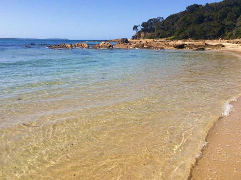 Shelly Beach Picnic Area - Moruya Heads - Port Augusta Accommodation 0