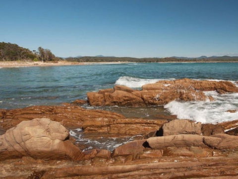 Shelly Beach Picnic Area - Moruya Heads - Port Augusta Accommodation 1