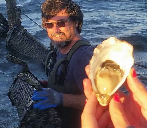 Southern Yorke Oysters - Port Augusta Accommodation 0