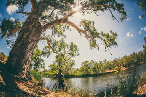 Sturt Gorge Recreation Park - Port Augusta Accommodation 0