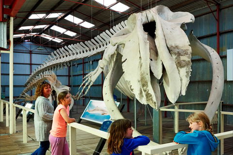 Albany's Historic Whaling Station - Port Augusta Accommodation 2