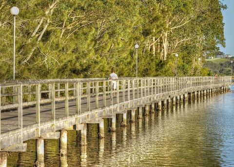 Apex Park Picnic Area Narooma - Port Augusta Accommodation 1