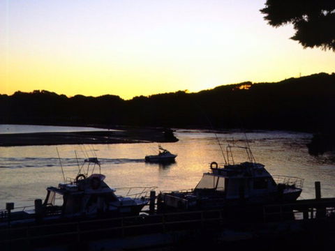 Apex Park Picnic Area Narooma - Port Augusta Accommodation 2