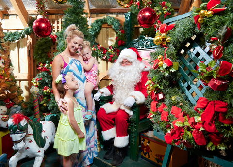 Christmas Tree Farm - Port Augusta Accommodation 2