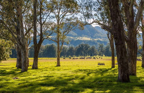 Coast To The Highlands Scenic Drive – Kangaroo Valley - Port Augusta Accommodation 0