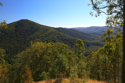 Conondale National Park - Port Augusta Accommodation 0