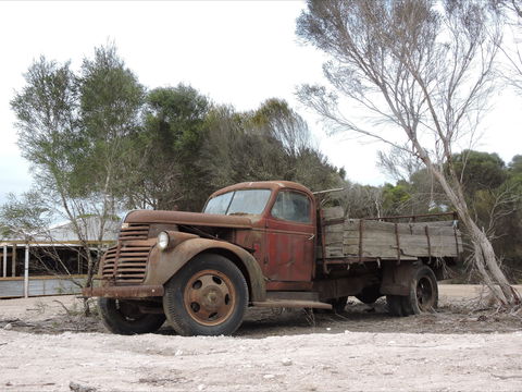 Emu Ridge Eucalyptus Pty Ltd - Port Augusta Accommodation 2