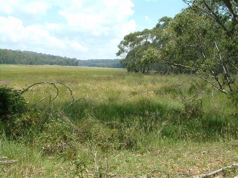 Hume And Hovell Walking Track - Port Augusta Accommodation 2