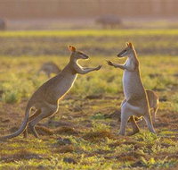 Mary River Area - Port Augusta Accommodation