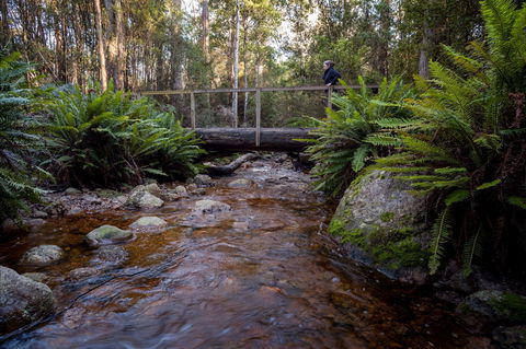 O'Neills Creek Picnic Reserve - Port Augusta Accommodation 0