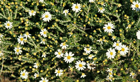 Round Tank Picnic Area - Port Augusta Accommodation 0