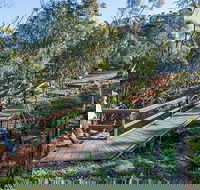 Falcon Falls walking track - Port Augusta Accommodation