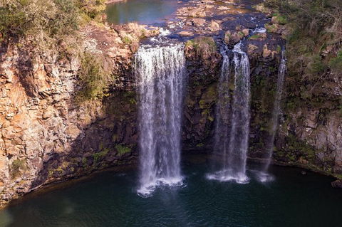 Rainforest & Waterfall Experience - Port Augusta Accommodation 1