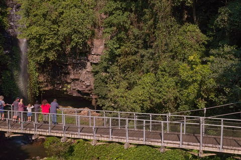 Rainforest & Waterfall Experience - Port Augusta Accommodation 4