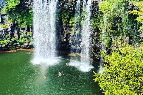 Rainforest & Waterfall Experience - Port Augusta Accommodation 2