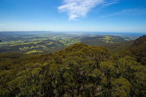 Illawarra Fly Treetop Adventures Treetop Walk Admission Ticket - Port Augusta Accommodation 6