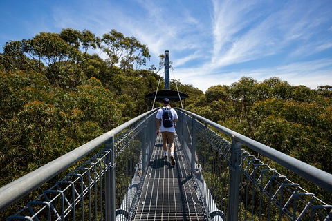 Illawarra Fly Treetop Adventures Treetop Walk Admission Ticket - Port Augusta Accommodation 0