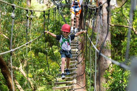 Illawarra Fly Treetop Adventures Treetop Walk Admission Ticket - Port Augusta Accommodation 3