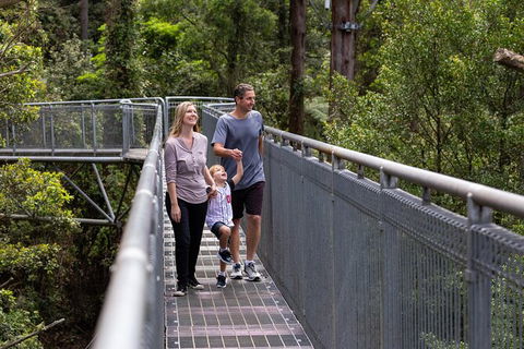 Illawarra Fly Treetop Adventures Treetop Walk Admission Ticket - Port Augusta Accommodation 1