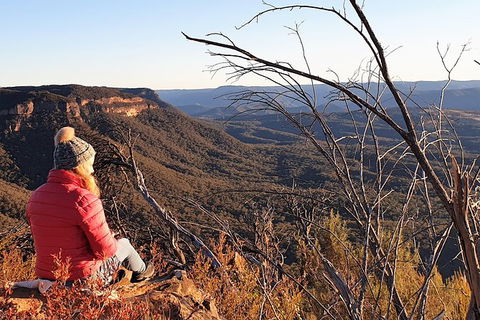 Ultimate Blue Mountains Waterfalls, Walks & Sunset PRIVATE Tour - Port Augusta Accommodation 5