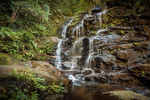 Ultimate Blue Mountains Waterfalls, Walks & Sunset PRIVATE Tour - Port Augusta Accommodation 10