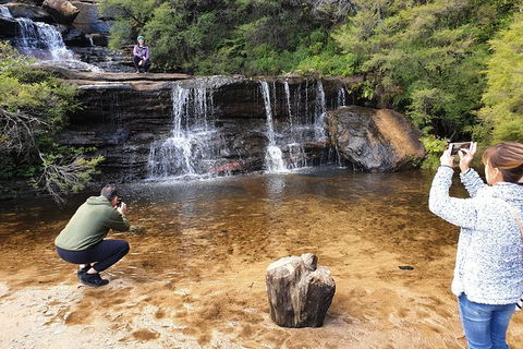 Ultimate Blue Mountains Waterfalls, Walks & Sunset PRIVATE Tour - Port Augusta Accommodation 0