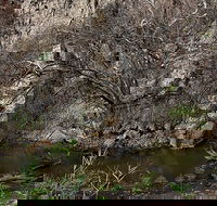 Brisbane Ranges National Park - Port Augusta Accommodation