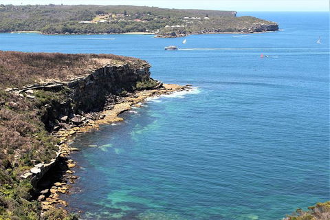 Half Day Manly Beach And More - Port Augusta Accommodation 9
