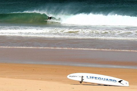 Half Day Manly Beach And More - Port Augusta Accommodation 5