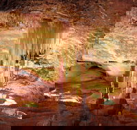 Jenolan Caves Ribbon Cave Tour - Port Augusta Accommodation