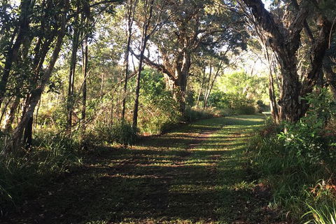 Coffs Harbour To Sawtell Bike Ride - Port Augusta Accommodation 7