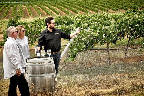 VIP Soil-To-Cellar Experience - Port Augusta Accommodation 0