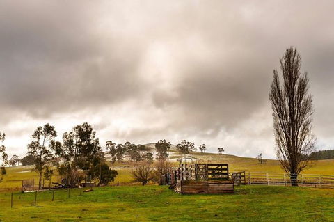 Paddock To Plate Farm Tour And Tasting - Port Augusta Accommodation 0