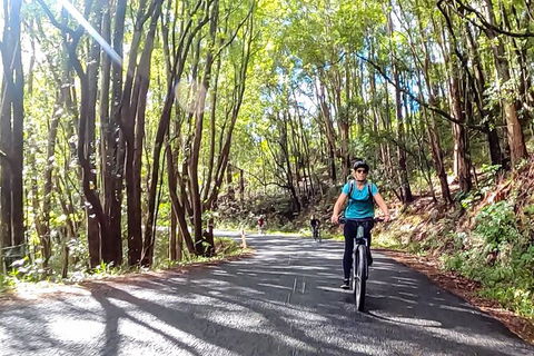 Guided E Bike Tour - Unicorn Falls & National Park - Port Augusta Accommodation 16
