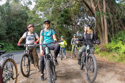 Guided E Bike Tour - Unicorn Falls & National Park - Port Augusta Accommodation 11