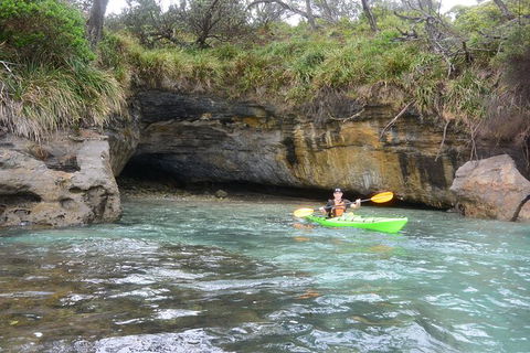 Half-Day Jervis Bay Sea Kayak Tour - Port Augusta Accommodation 8